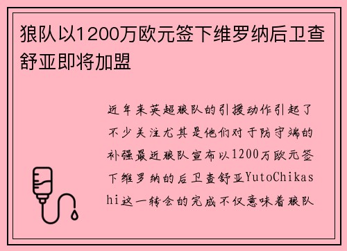 狼队以1200万欧元签下维罗纳后卫查舒亚即将加盟